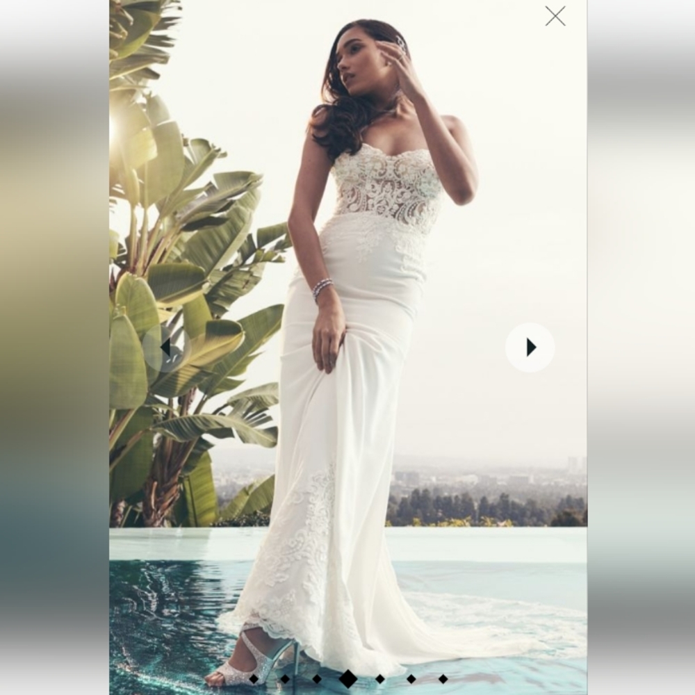 Wedding Dress - Picture 6 of 6